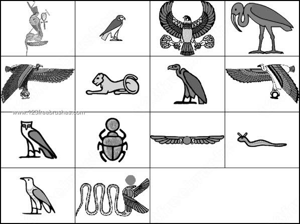 020_animals