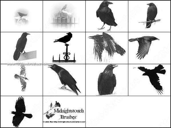 025_birds
