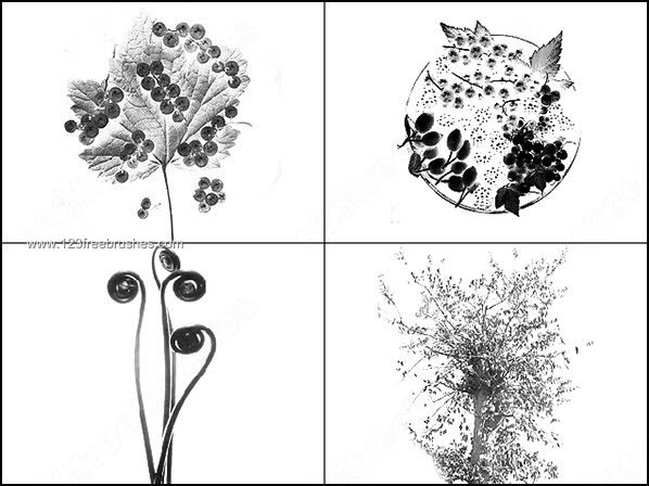 004_plants