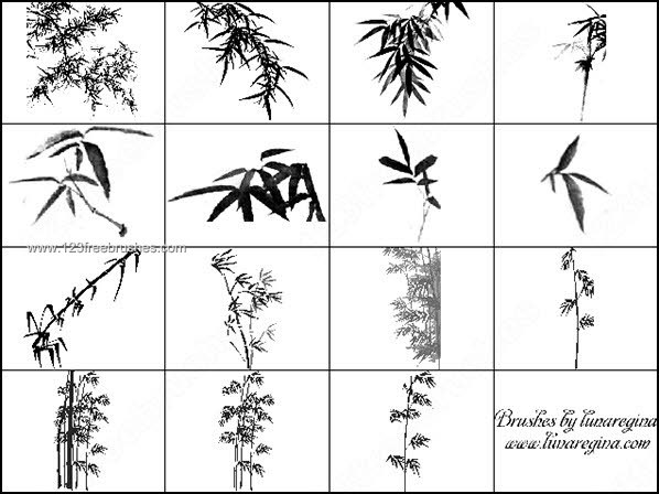 006_plants