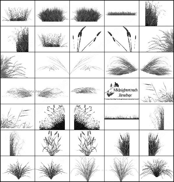 017_plants