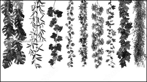 025_plants