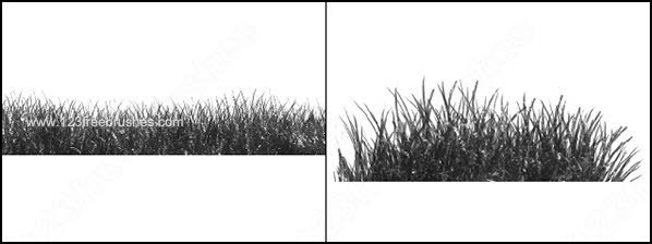 028_plants