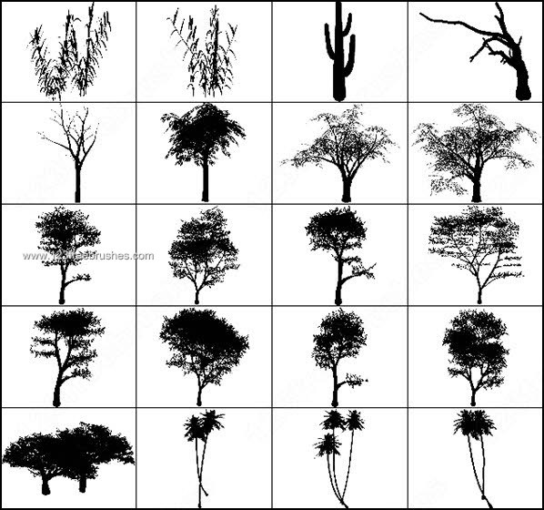 015_trees