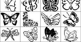 021_insects