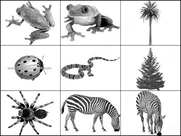 http://img.123freebrushes.com/wp-content/uploads/big/animals/007_animals-frog-toad-snake-insect-falm-tree-xmas-tree-zebra-scorpion-photoshop-free-photoshop-brush.jpg