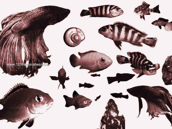 001_aquatic-photoshop-free-brushes