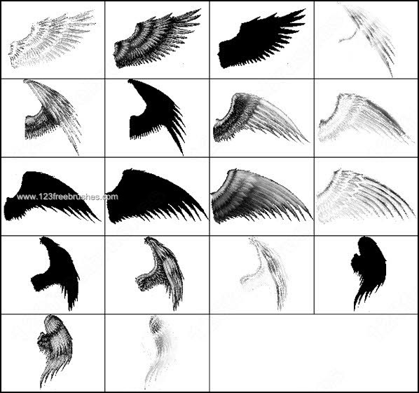 007_birds-photoshop-free-brushes. You are here: Home » Birds » 007_birds