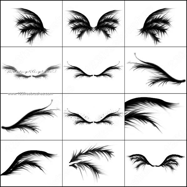 037_birds-photoshop-free-brushes
