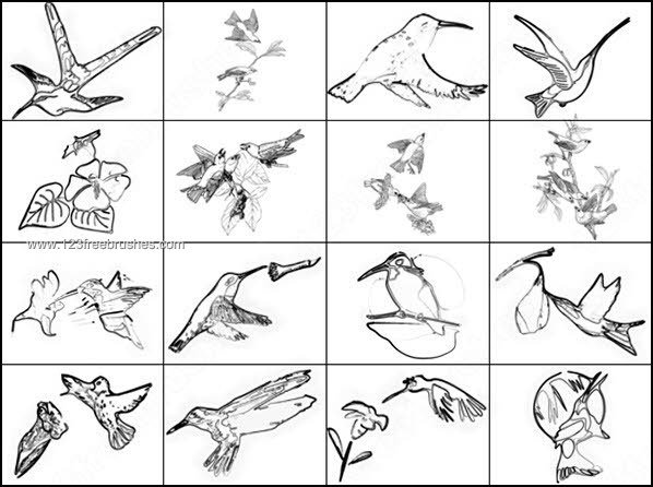 039_birds-photoshop-free-brushes