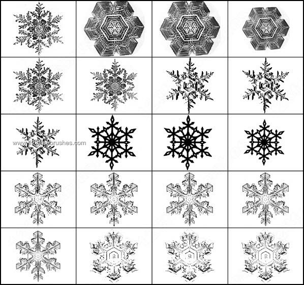 Snowflake Goddess Tattoo Belt Buckle _design_elements-snowflake 560x598