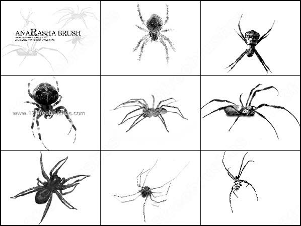 018_insects-photoshop-free-brushes