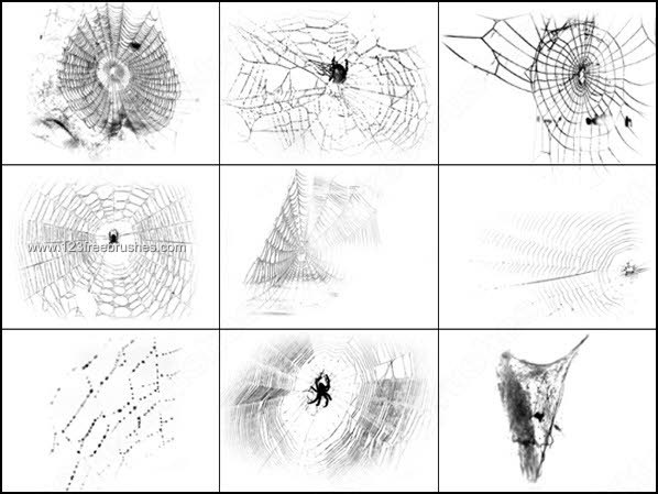 stock vector : Spider and Web - Tattoo Design. Ready for vinyl cutting.