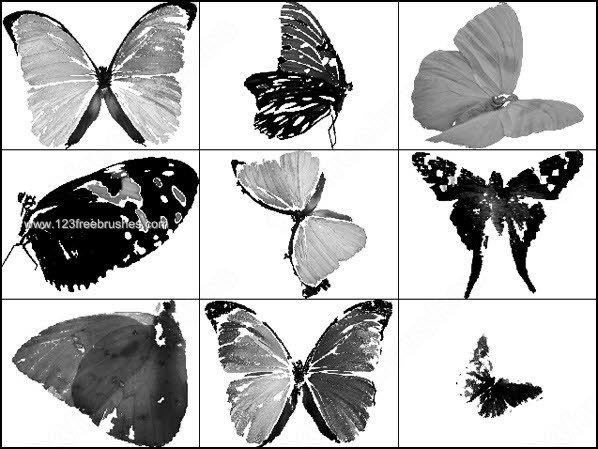 027-Butterflies Brushes-photoshop-free-brushes