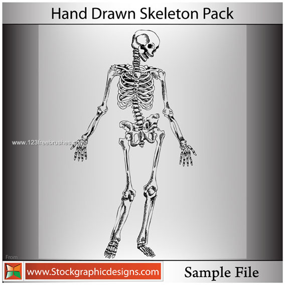 053-Hand Drawn Skeleton-photoshop-free-brushes