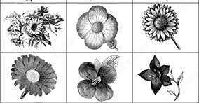 007_flowers