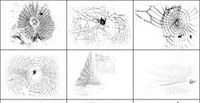 019_insects