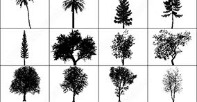 003_trees