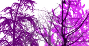 006_trees