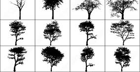 015_trees