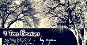 023_trees
